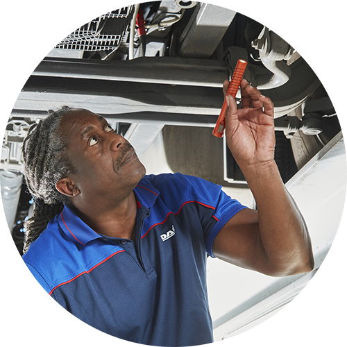 Profesional-daf-dealer